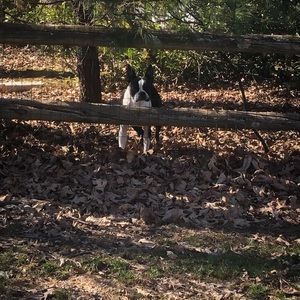 Meet your Posher, Denise